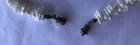 Vintage Necklace Puka Shell Heishi Bead  Colourful Shell Pendant   Metal Clasp