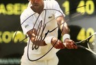 Novak Djokovic Tennis  Hand Signed  Autographed 8x10 Color Photo  Beautiful  4