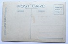 Public Automobile Camp Scene Yellowstone National Park Vintage Postcard N2