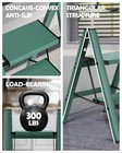 2 Step Ladder Aluminum Lightweight Folding Stool Antislip 330lbs Green