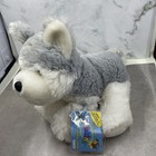 Webkinz   Husky grey white Puppy Dog 8    Retired   Ganz   New Unused Code