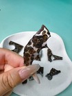 41 3grams Sericho Pallasite Meteorite Slice Collection  Gifts From Space