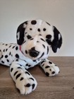 Fao Schwarz Dalmatian Realistic Plush Stuffed Animal 22  With Collar