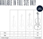 4 4 Full Size Acoustic   Electric Violin For Beginners   Professionals  Hand-car