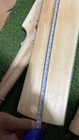 English Willow Cricket Bat Thick Edges Grade 1 Full Size Short Handle Natured