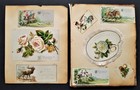 1800s Antique Victorian Die Cut   Hand Cut Scrapbook Clean Pages Egg Frog Angel