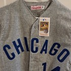 Nwt Mitchell   Ness Chicago Cubs  Baseball Jersey  14 Ernie Banks - Size Small