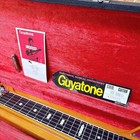 Guyatone Hg-306d 6 Strings Electric Lap Steel Guitar Hawaiian With Hard Case