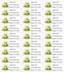 Frog 60 Personalized Customized Return Address Labels 1  X 2 5 8  Free Shipping