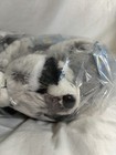 Webkinz Raccoon Factory Sealed Retail Sleeve Of 6 Plush W  Codes Ganz Rare