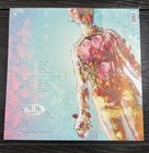 Belly Dove Lp Autographed Vinyl Record Album Signed By Band