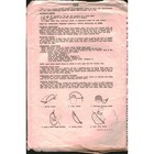 Vintage 1947 Simplicity 7326 Embroidery Transfer Pattern Animal Place Mats Cat