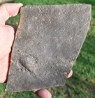 400 Million Year Old Rusophycus  burrow   Morocco  2