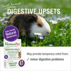 Homeopet Small Animal Digestive Upsets Supplement 15 Milliliters