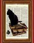 Black Cat Vintage Books Dictionary Curious Art Print Poster Picture Old Book