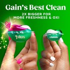 Gain Hibiscus Hula Super Flings Plus Laundry Detergents -concentrated He-2pack