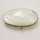 Vintage White Clamshell Coin Purse 1950s-60s