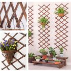 Wooden Lattice Wall 2packexpandable Plant Garden Trellis For Climbing Plants Out