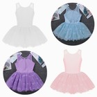 Girls Gymnastics Ballet Dress Toddlers Leotard Mesh Tutu Skirt Dancewear Costume