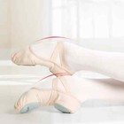 Ballet Shoes Dance Shoes Woman High Stretch Canvas Split Slip On Practice Shoes