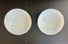 Pair Antique 19thc Daoguang Chinese Families Rose Porcelain Bowls