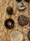 Antique Vintage Button Lot 9 Horse Floral Mop Steelcut Mellon Ball Hammered Edge