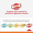 Nylabone Ring Bone Power Chew Toy For Dogs  Dog X-small Up To 15 Lbs   