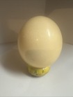 Vintage Ostrich Egg Shell Blown Out