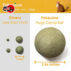 3 94  Huge Catnip Ball Indoor Cat Toy Giant Jumbo Toys For Kittens New