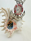 Antique Nautical Conch Shell Folk Art Anchor Compass Ship Painting C1900