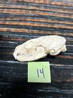 Real Xl Pine Marten Skull Unique Gift Craft Animal Mount Art Model Head Voodoo