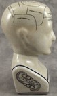 Porcelain L n  Fowler 7  Phrenology Head Bust Science Psychology Crackle Glaze