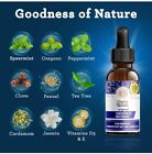 Concentrated Mouthwash  Fluoride-free  Mint With Natural Oils  300 Rinses  Fresh