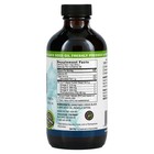 2 X Amazing Herbs  Black Seed  100  Pure Cold-pressed Black Cumin Seed Oil  8 Fl