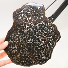 276g Beautiful Sericho Pallasite Meteorite Slice - From Kenya C6776