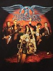 Aerosmith Vintage 2006 Hanes Heavyweight Rockin The Joint Shirt Adult L  42-44 