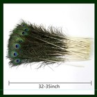 24pcs Peacock Feathers Long Natural In Bulk 32-35 Inch 80-90 Cm For Vase Craf   