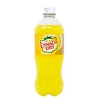 Canada Dry Pineapple Soda   20 Fl Oz  pack Of 24 