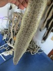 Rattlesnake Skin Prairie Rattle Snake Hide Dry Tanned Wrap Pen Blanks 26 In  C4