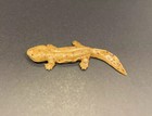 Kaiyodo Animatales Choco Q Series 1 Japanese Giant Salamander Figure