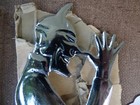 Vintage Schwinn Jester Fender Ornament   nos  