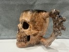 2oz Skull Shot Glasses Made To Order