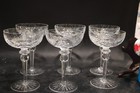 Rogaska Jasmine 6 Champagne  Sherbet 7 