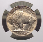 1913  p  Indian Head Buffalo Nickel  type 2  5c Ngc Ms64  028 Bu Unc Ecc c  Inc