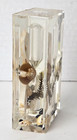 Vintage Florida Souvenir Lucite Timer W  Shells In Water  Beach Theme