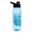 Disney Robin Hood  what A Good Day  Water Bottle With Lid   Holds 28 Ounces