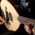 Hot Arabic Oud Strings Oud Strings Set Six Types Of Strings Silver Plated Copper