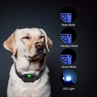 Electric Dog Training Collar Remote Control Waterproof Rechargeable Shock Pet