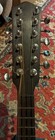 Mandriola-12 String Mandolin Up To Date Music Co  Vg Refurbished
