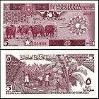 Somalia Set  5 10 20 50 100 500 1000 Shillings 1980s P 31 32 33 34 35 36 37 Unc
